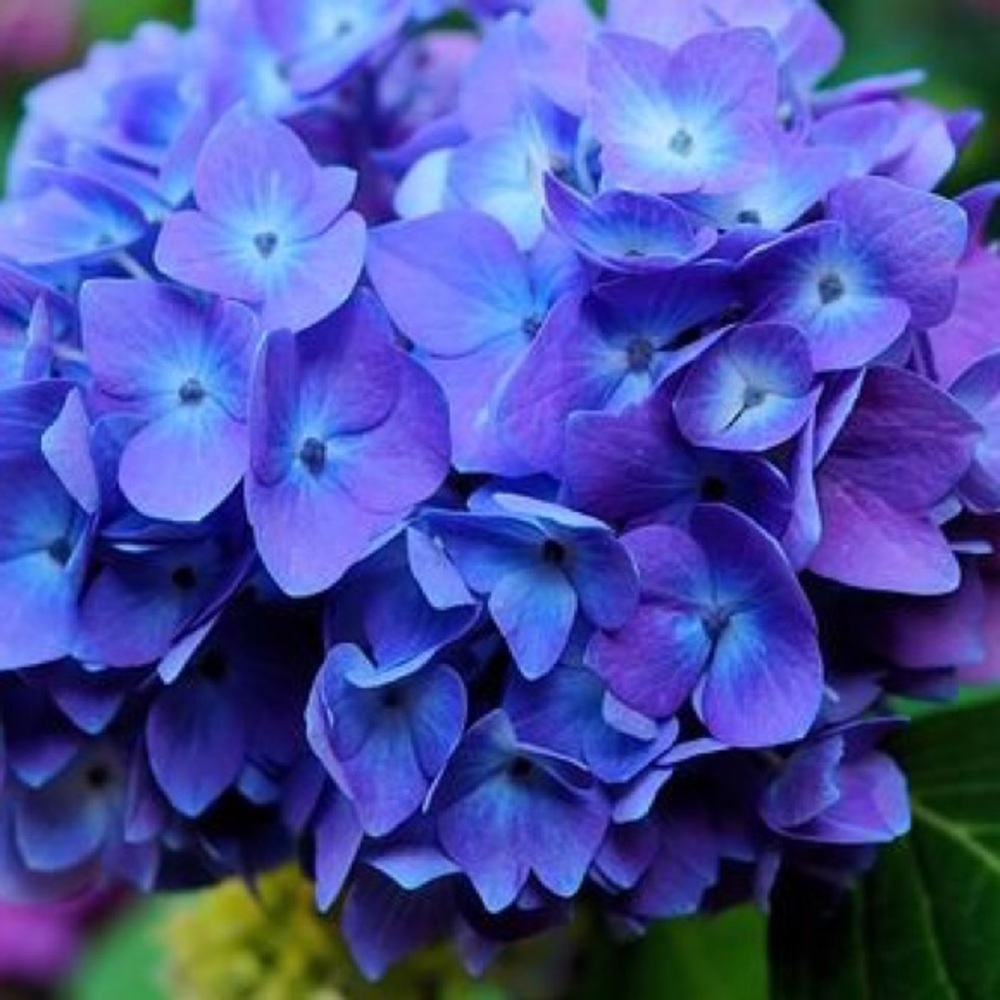 Meet your Posher, Claire